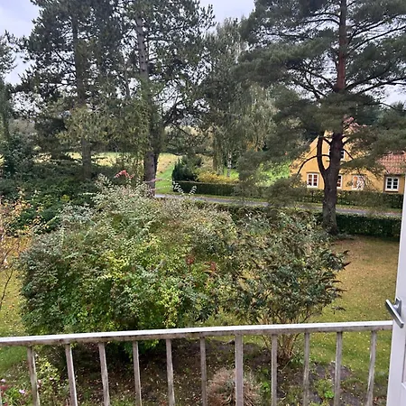 Pine Haven * 欧登塞