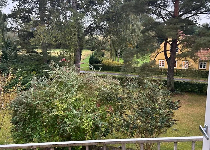 Pine Haven * Odense